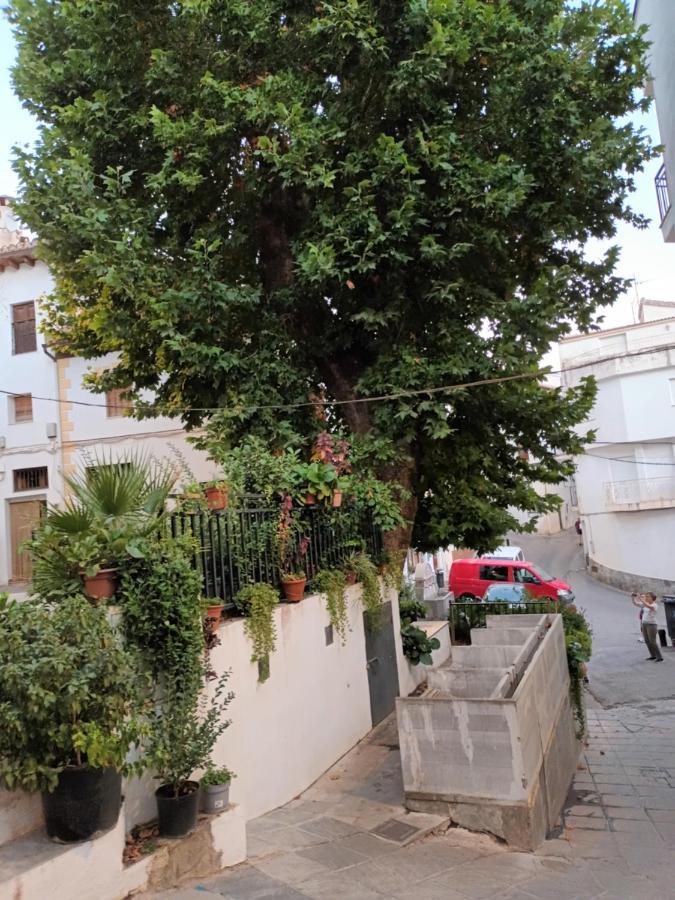 Apartamento El Pilar Güéjar Sierra Kültér fotó